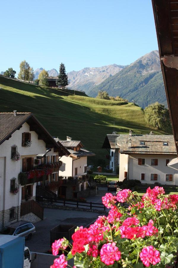 Chalet Stelvio Bormio Ngoại thất bức ảnh