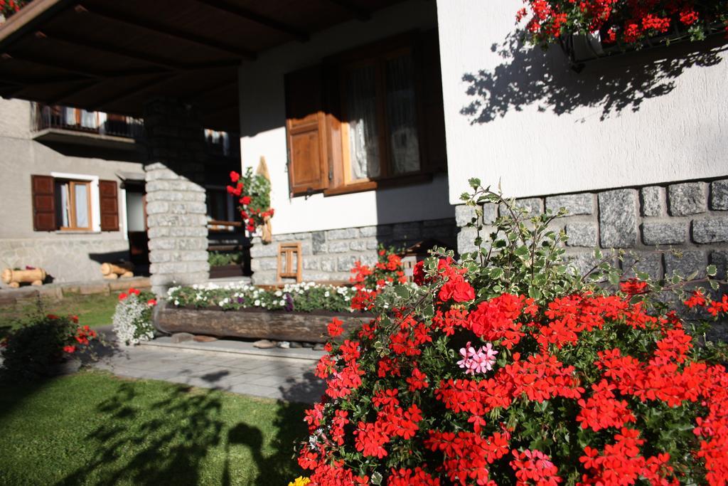 Chalet Stelvio Bormio Ngoại thất bức ảnh